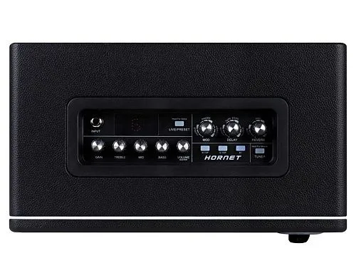 Mooer DH06 Hornet 30 BK Моделирующий гитарный комбоусилитель.